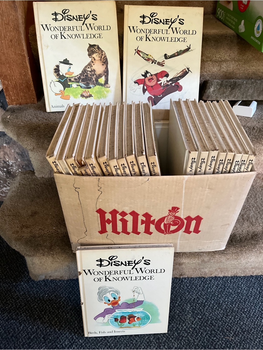 Disney’s Wonderful World of Knowledge Encyclopedia Set